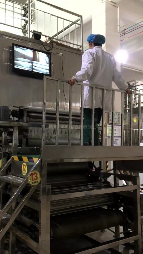 酸辣粉生產(chǎn)線集成烘干裝置 提升即食粉絲生產(chǎn)效率與品質(zhì)